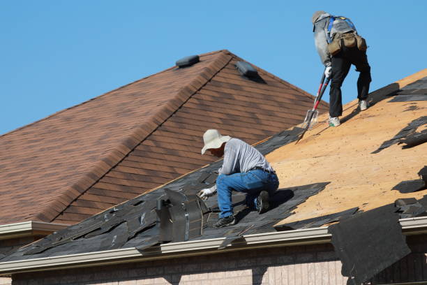 Best Slate Roofing  in Maysville, NC