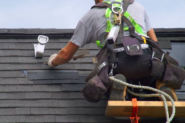 Best Roof Moss and Algae Removal  in Maysville, NC
