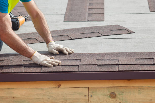 Best Asphalt Shingle Roofing  in Maysville, NC