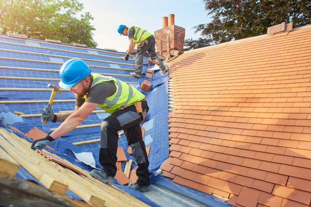 Best Sheet Metal Roofing  in Maysville, NC