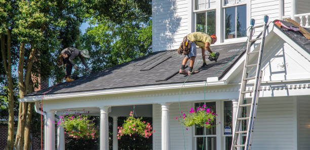 Best Roof Insulation Installation  in Maysville, NC